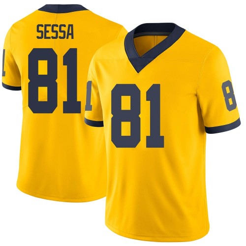 Will Sessa Michigan Wolverines Men's NCAA #81 Maize Limited Brand Jordan College Stitched Football Jersey QSX1354AH